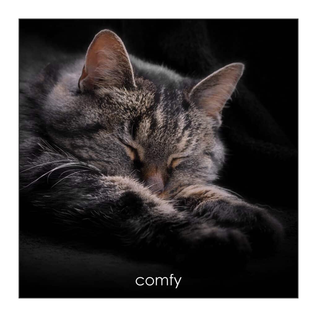 Comfy
